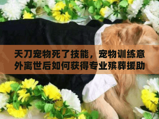 天刀宠物死了技能，宠物训练意外离世后如何获得专业殡葬援助