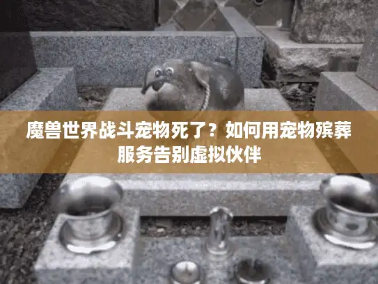 魔兽世界战斗宠物死了？如何用宠物殡葬服务告别虚拟伙伴