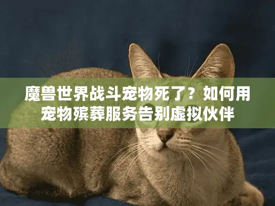 魔兽世界战斗宠物死了？如何用宠物殡葬服务告别虚拟伙伴