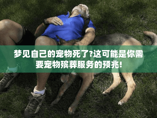 梦见自己的宠物死了?这可能是你需要宠物殡葬服务的预兆! 梦见自己的宠物死了?这可能是你需要宠物殡葬服务的预兆!