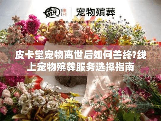 皮卡堂宠物离世后如何善终?线上宠物殡葬服务选择指南