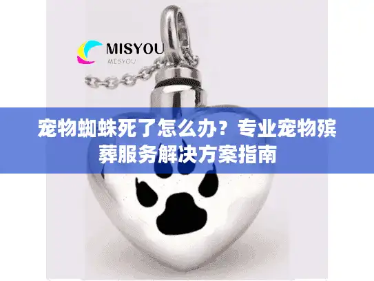 宠物蜘蛛死了怎么办？专业宠物殡葬服务解决方案指南