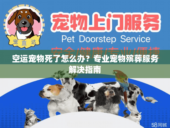 空运宠物死了怎么办？专业宠物殡葬服务解决指南