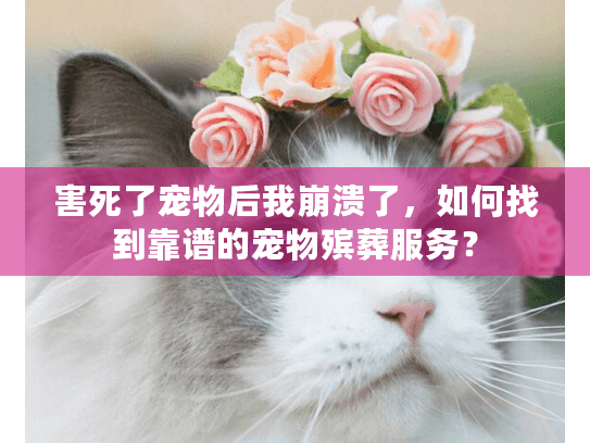 害死了宠物后我崩溃了，如何找到靠谱的宠物殡葬服务？