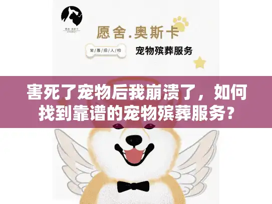 害死了宠物后我崩溃了，如何找到靠谱的宠物殡葬服务？