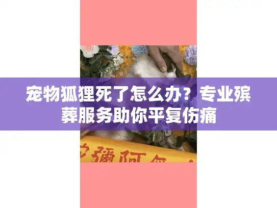 宠物狐狸死了怎么办?专业殡葬服务助你平复伤痛 宠物狐狸死了怎么办?专业殡葬服务助你平复伤痛