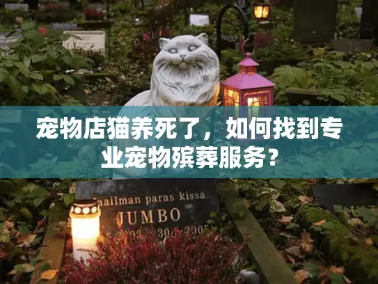 宠物店猫养死了,如何找到专业宠物殡葬服务? 宠物店猫养死了,如何找到专业宠物殡葬服务?