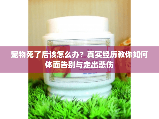 宠物死了后该怎么办?真实经历教你如何体面告别与走出悲伤 宠物死了后该怎么办?真实经历教你如何体面告别与走出悲伤