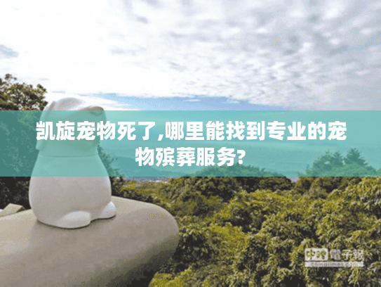 凯旋宠物死了,哪里能找到专业的宠物殡葬服务? 凯旋宠物死了,哪里能找到专业的宠物殡葬服务?
