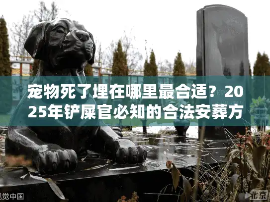宠物死了埋在哪里最合适?2025年铲屎官必知的合法安葬方案 宠物死了埋在哪里最合适?2025年铲屎官必知的合法安葬方案