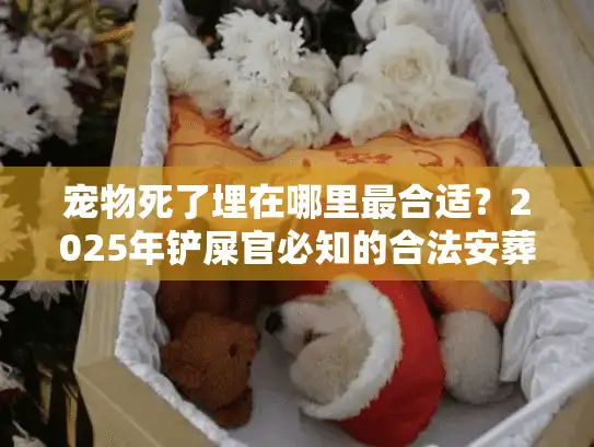宠物死了埋在哪里最合适?2025年铲屎官必知的合法安葬方案 宠物死了埋在哪里最合适?2025年铲屎官必知的合法安葬方案