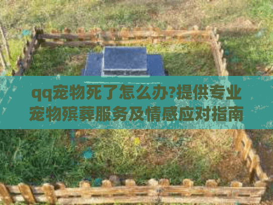 qq宠物死了怎么办?提供专业宠物殡葬服务及情感应对指南 qq宠物死了怎么办?提供专业宠物殡葬服务及情感应对指南