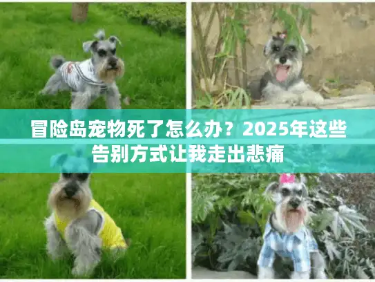 冒险岛宠物死了怎么办?2025年这些告别方式让我走出悲痛 冒险岛宠物死了怎么办?2025年这些告别方式让我走出悲痛
