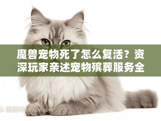 魔兽宠物死了怎么复活？资深玩家亲述宠物殡葬服务全流程