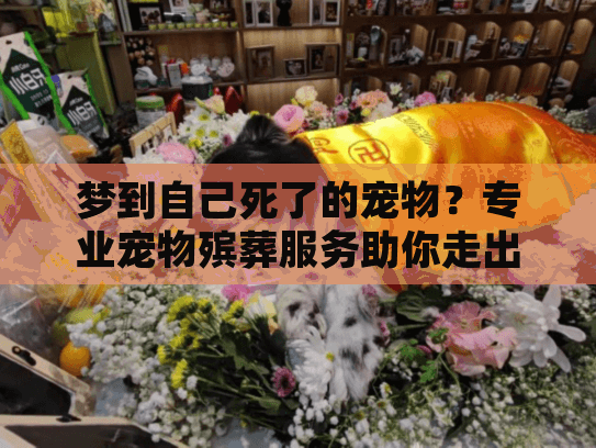 梦到自己死了的宠物？专业宠物殡葬服务助你走出哀伤之旅
