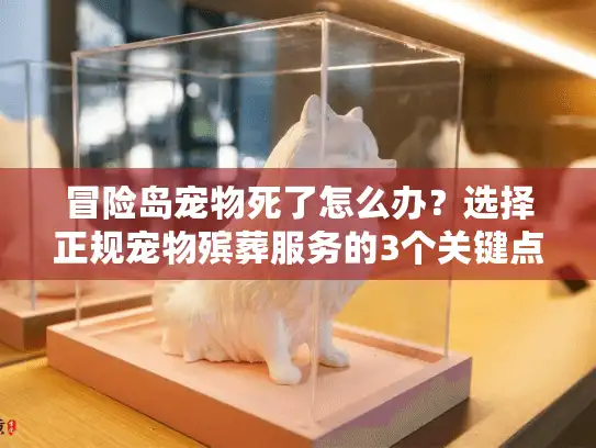 冒险岛宠物死了怎么办?选择正规宠物殡葬服务的3个关键点 冒险岛宠物死了怎么办?选择正规宠物殡葬服务的3个关键点