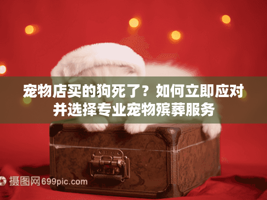 宠物店买的狗死了？如何立即应对并选择专业宠物殡葬服务