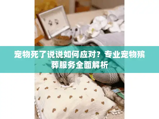 宠物死了说说如何应对？专业宠物殡葬服务全面解析