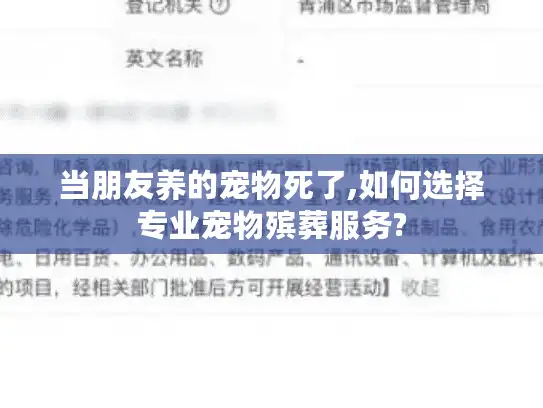 当朋友养的宠物死了,如何选择专业宠物殡葬服务?