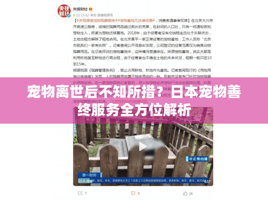 宠物离世后不知所措？日本宠物善终服务全方位解析