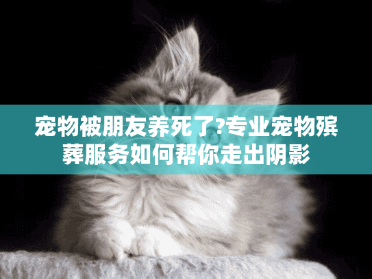 宠物被朋友养死了?专业宠物殡葬服务如何帮你走出阴影