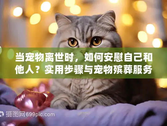 当宠物离世时，如何安慰自己和他人？实用步骤与宠物殡葬服务指南