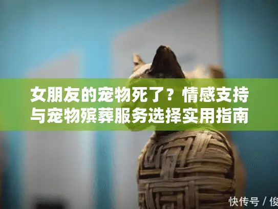 女朋友的宠物死了？情感支持与宠物殡葬服务选择实用指南
