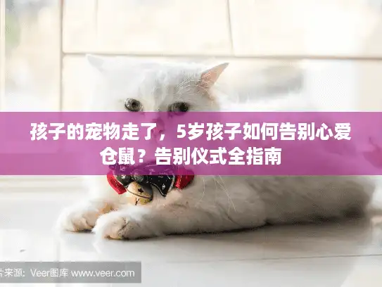 孩子的宠物走了，5岁孩子如何告别心爱仓鼠？告别仪式全指南