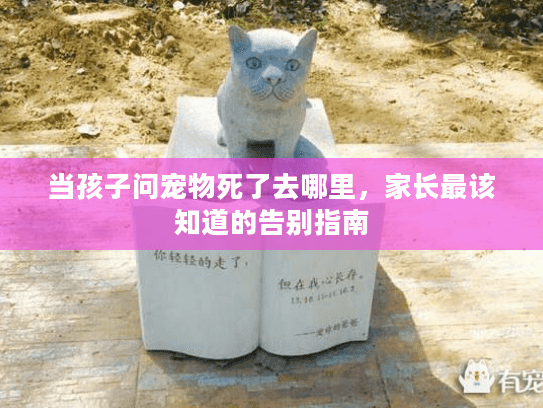 当孩子问宠物死了去哪里，家长最该知道的告别指南