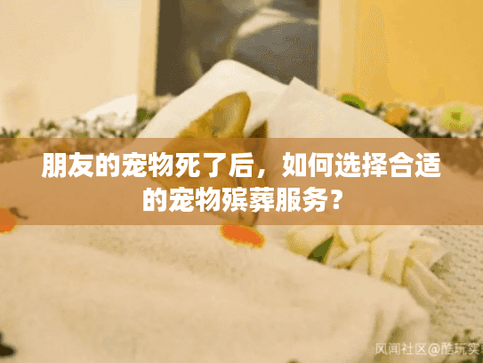 朋友的宠物死了后,如何选择合适的宠物殡葬服务? 朋友的宠物死了后,如何选择合适的宠物殡葬服务?