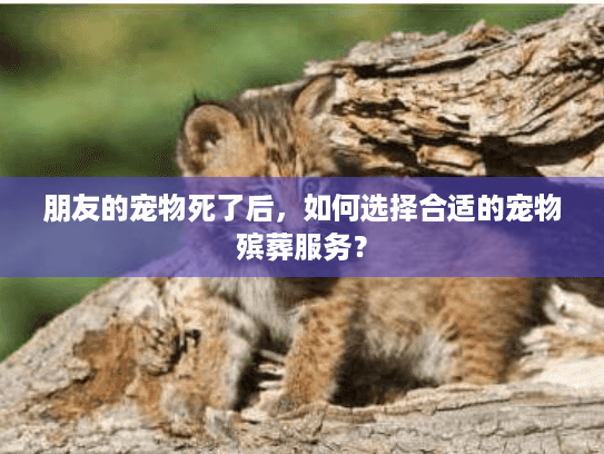 朋友的宠物死了后,如何选择合适的宠物殡葬服务? 朋友的宠物死了后,如何选择合适的宠物殡葬服务?