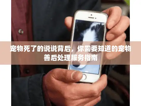 宠物死了的说说背后，你需要知道的宠物善后处理服务指南
