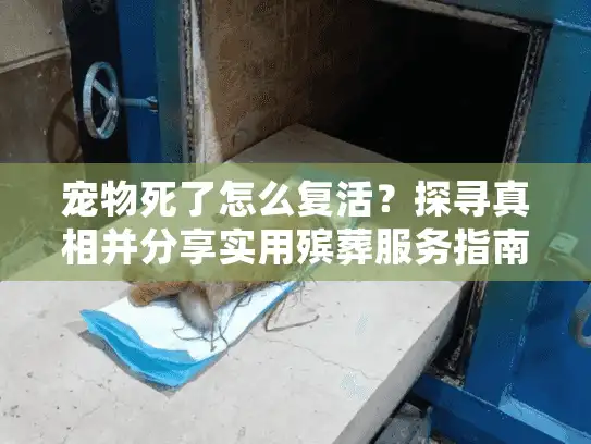 宠物死了怎么复活？探寻真相并分享实用殡葬服务指南