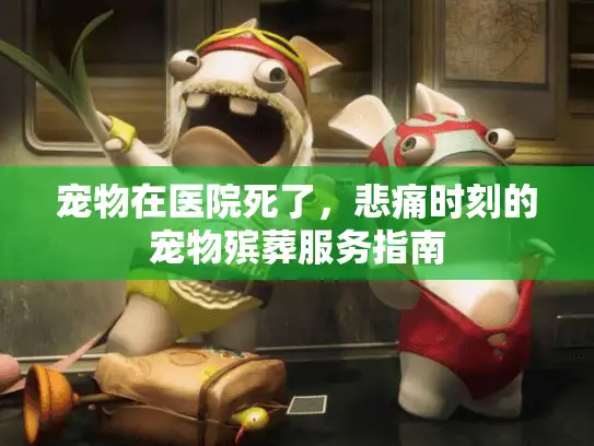 宠物在医院死了,悲痛时刻的宠物殡葬服务指南 宠物在医院死了,悲痛时刻的宠物殡葬服务指南