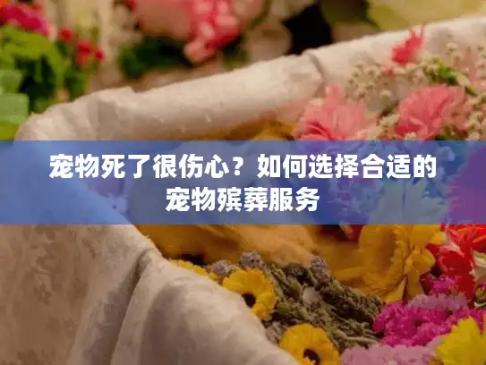 宠物死了很伤心?如何选择合适的宠物殡葬服务 宠物死了很伤心?如何选择合适的宠物殡葬服务