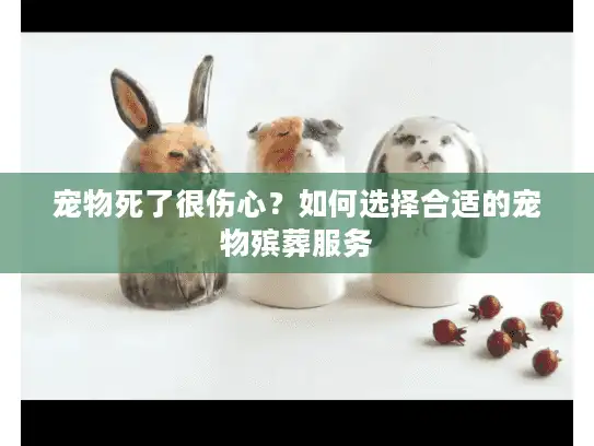 宠物死了很伤心?如何选择合适的宠物殡葬服务 宠物死了很伤心?如何选择合适的宠物殡葬服务