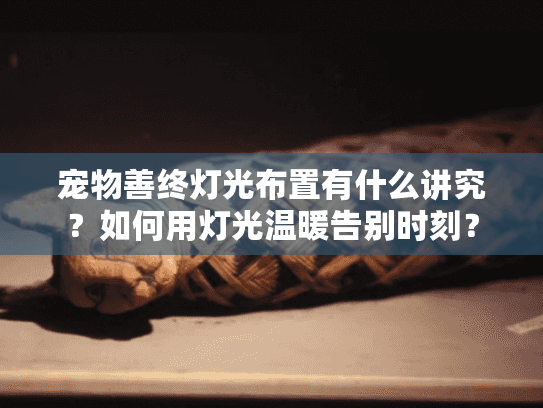 宠物善终灯光布置有什么讲究?如何用灯光温暖告别时刻? 宠物善终灯光布置有什么讲究?如何用灯光温暖告别时刻?