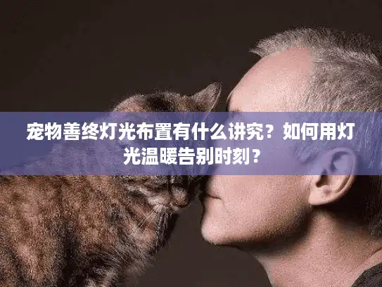 宠物善终灯光布置有什么讲究?如何用灯光温暖告别时刻? 宠物善终灯光布置有什么讲究?如何用灯光温暖告别时刻?