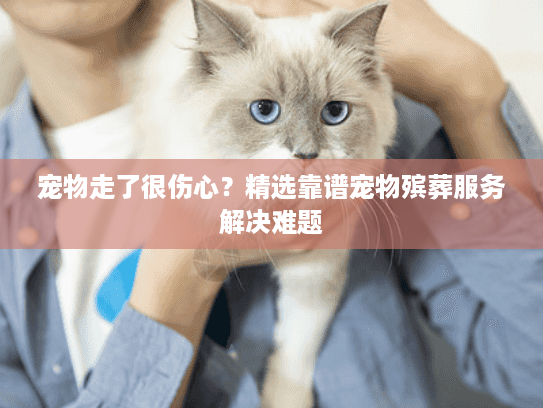 宠物走了很伤心？精选靠谱宠物殡葬服务解决难题