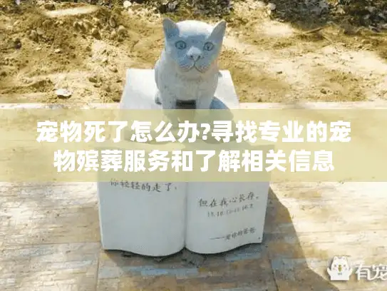 宠物死了怎么办?寻找专业的宠物殡葬服务和了解相关信息