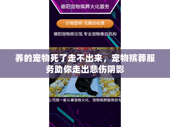 养的宠物死了走不出来,宠物殡葬服务助你走出悲伤阴影 养的宠物死了走不出来,宠物殡葬服务助你走出悲伤阴影