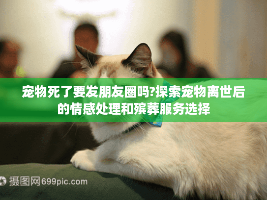宠物死了要发朋友圈吗?探索宠物离世后的情感处理和殡葬服务选择