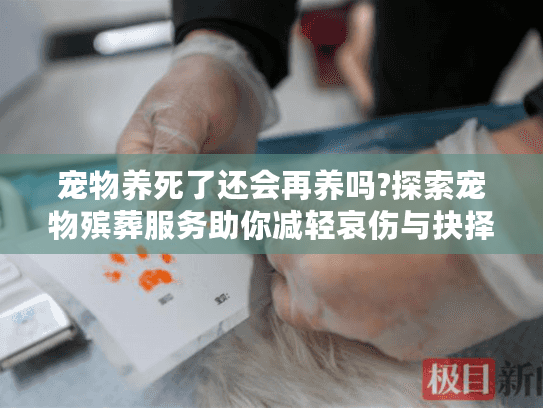 宠物养死了还会再养吗?探索宠物殡葬服务助你减轻哀伤与抉择