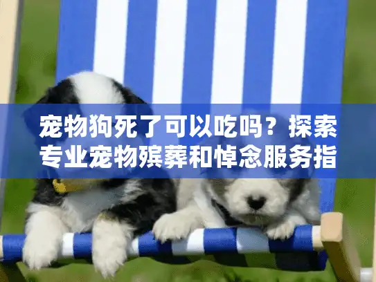 宠物狗死了可以吃吗?探索专业宠物殡葬和悼念服务指南 宠物狗死了可以吃吗?探索专业宠物殡葬和悼念服务指南