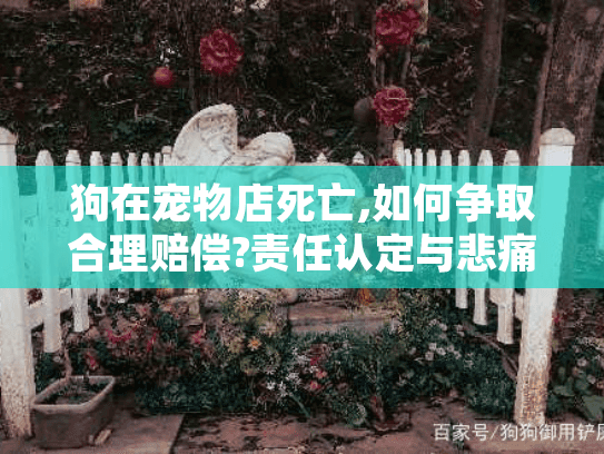狗在宠物店死亡,如何争取合理赔偿?责任认定与悲痛处理指南 狗在宠物店死亡,如何争取合理赔偿?责任认定与悲痛处理指南