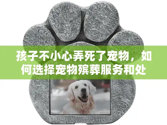 孩子不小心弄死了宠物,如何选择宠物殡葬服务和处理情感创伤? 孩子不小心弄死了宠物,如何选择宠物殡葬服务和处理情感创伤?