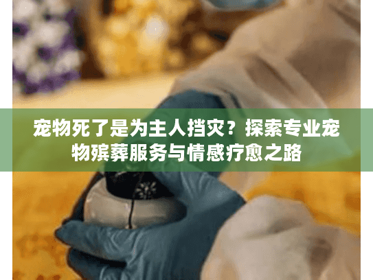 宠物死了是为主人挡灾?探索专业宠物殡葬服务与情感疗愈之路 宠物死了是为主人挡灾?探索专业宠物殡葬服务与情感疗愈之路