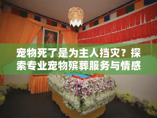 宠物死了是为主人挡灾?探索专业宠物殡葬服务与情感疗愈之路 宠物死了是为主人挡灾?探索专业宠物殡葬服务与情感疗愈之路