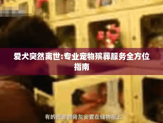 爱犬突然离世:专业宠物殡葬服务全方位指南 爱犬突然离世:专业宠物殡葬服务全方位指南
