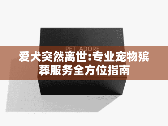 爱犬突然离世:专业宠物殡葬服务全方位指南 爱犬突然离世:专业宠物殡葬服务全方位指南
